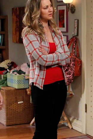 The Big Bang Theory. T(T5). The Big Bang Theory (T5): Ep.17 La desinfectación de Rothman