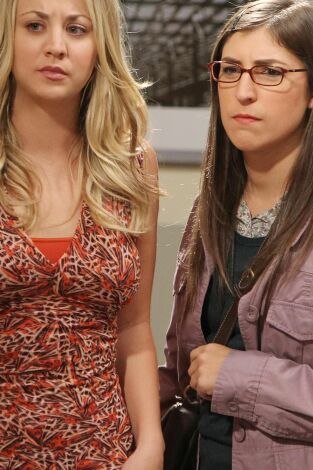 The Big Bang Theory. T(T6). The Big Bang Theory (T6): Ep.3 La observación del Bosón de Higgs