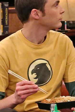 The Big Bang Theory, Season 7. T(T7). The Big Bang... (T7): Ep.8 La simulación del picor de cerebro