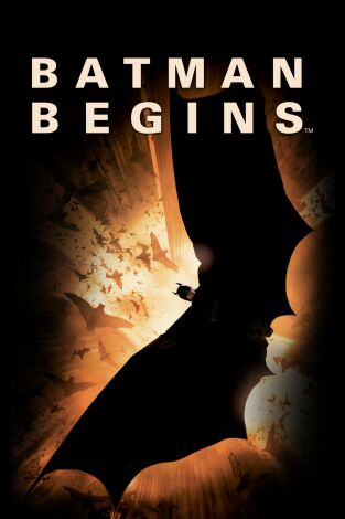 Batman begins