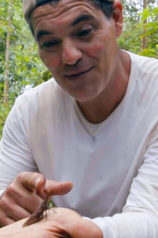 Wild Frank Gorilas. Wild Frank Gorilas: Ep.4