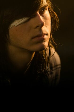 The Walking Dead. T(T7). The Walking Dead (T7)