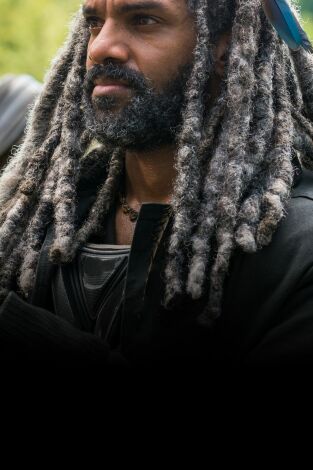 The Walking Dead. T(T7). The Walking Dead (T7)