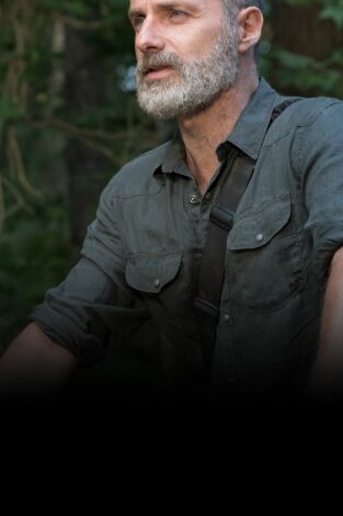 The Walking Dead. T(T9). The Walking Dead (T9)