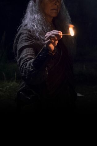 The Walking Dead. T(T9). The Walking Dead (T9)
