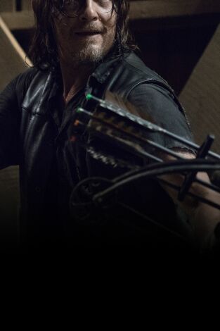 The Walking Dead. T(T9). The Walking Dead (T9)