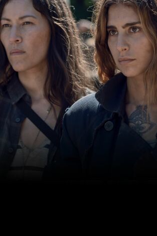 The Walking Dead. T(T9). The Walking Dead (T9)