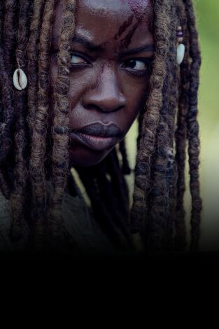 The Walking Dead. T(T9). The Walking Dead (T9)