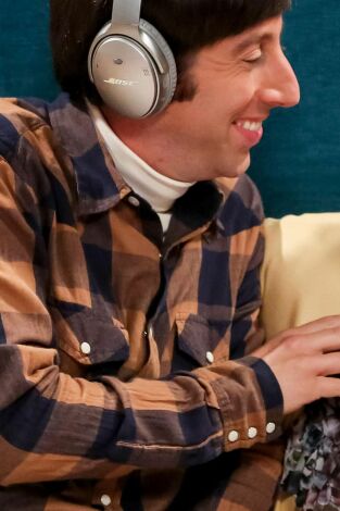 Big Bang. T(T12). Big Bang (T12): Ep.3 El cálculo de la procreación