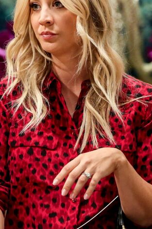 The Big Bang Theory. T(T12). The Big Bang Theory (T12): Ep.4 Las turbulencias de Tam