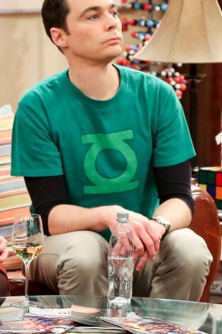 The Big Bang Theory. T(T12). The Big Bang Theory (T12): Ep.20 La reverberación de la decisión