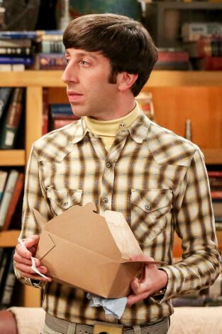 The Big Bang Theory. T(T12). The Big Bang Theory (T12): Ep.21 El cisma del plagio