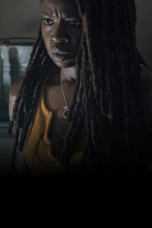 The Walking Dead. T(T10). The Walking Dead (T10)