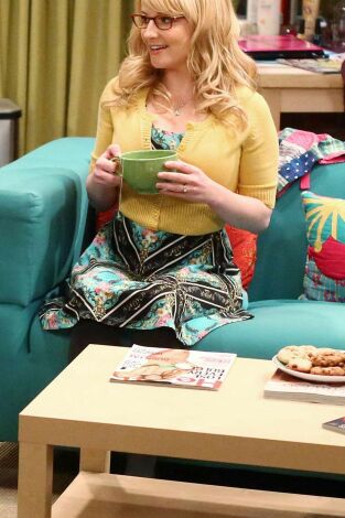 The Big Bang Theory. T(T8). The Big Bang Theory (T8): Ep.7 La agitación de la malinterpretación