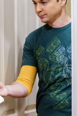 Big Bang. T(T11). Big Bang (T11): Ep.14 La separación de la triangulación