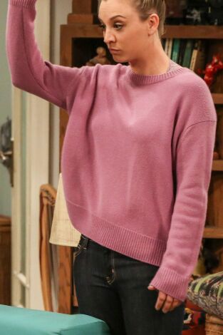 The Big Bang Theory. T(T11). The Big Bang Theory (T11): Ep.19 La disociación del inquilino