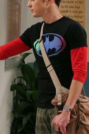 The Big Bang Theory. T(T4). The Big Bang Theory (T4): Ep.7 La insuficiencia de la disculpa