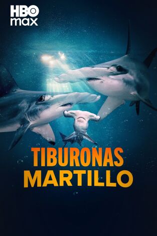 Tiburonas martillo