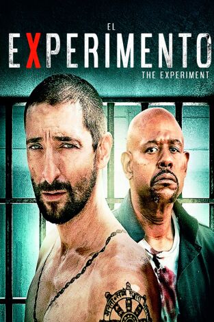 El experimento