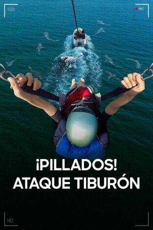¡Pillados! Ataque tiburón