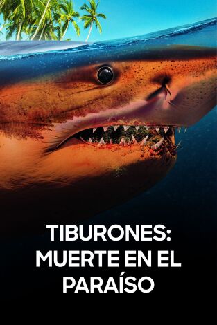 Tiburones: muerte en el paraíso
