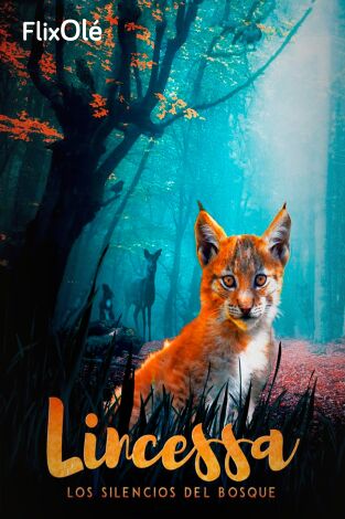 Lincessa. Los silencios del bosque