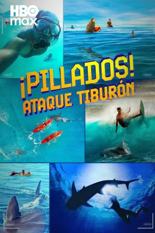 ¡Pillados! Ataque tiburón