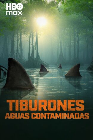 Tiburones: aguas contaminadas
