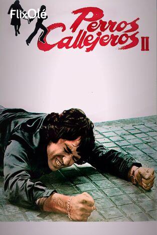 Perros Callejeros II