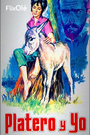 Platero y yo