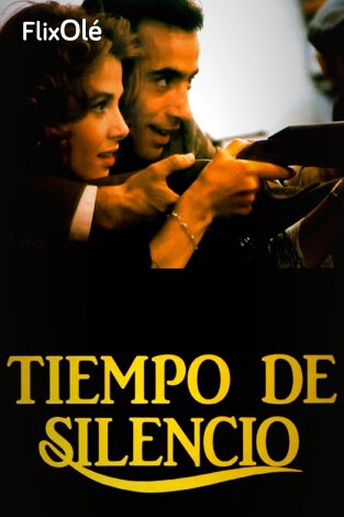 Tiempo de silencio