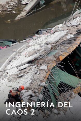 Ingeniería del caos. Ingeniería del caos 