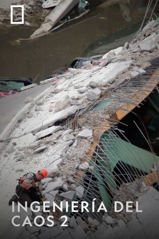 Ingeniería del caos