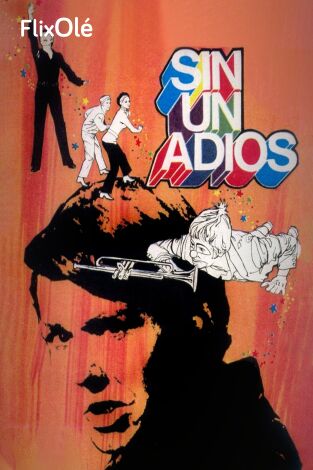 Sin un adiós