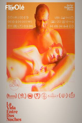 La vida entre dos noches