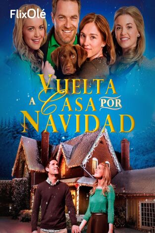 Vuelta a casa por Navidad
