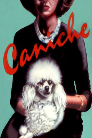 Caniche