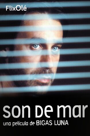 Son De Mar
