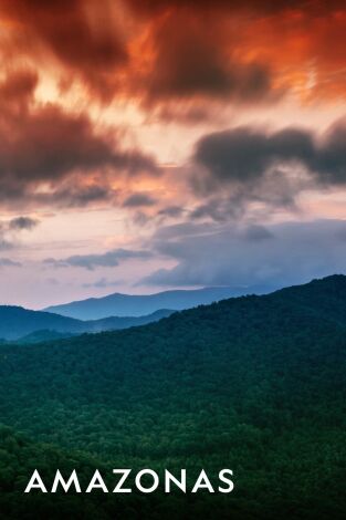Amazonía. Amazonía: Expedición al amazonas