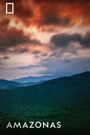 Amazonía. Amazonía 