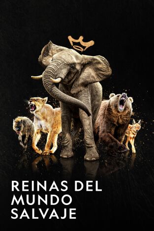 Reinas del mundo salvaje. Reinas del mundo salvaje 