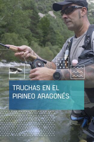 Truchas en el Pirinéo aragonés