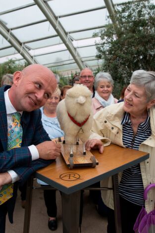 Antiques Roadshow. Antiques Roadshow: Ep.14