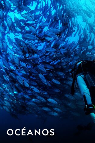 Océanos. Océanos: Depredadores marinos: hacia la oscuridad