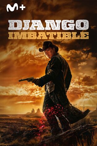 Django imbatible