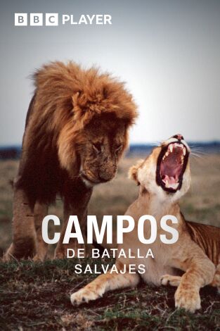 Campos de batalla salvajes