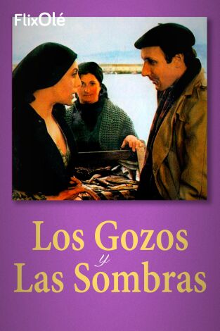 Los gozos y las sombras