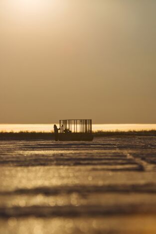 Vida bajo cero. Vida bajo cero: Sin fronteras