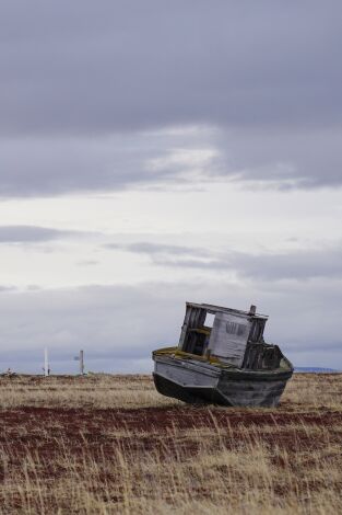 Vida bajo cero. Vida bajo cero: El deshielo: contra la marea