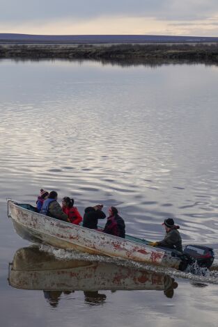Vida bajo cero. Vida bajo cero: El deshielo: el avance lento